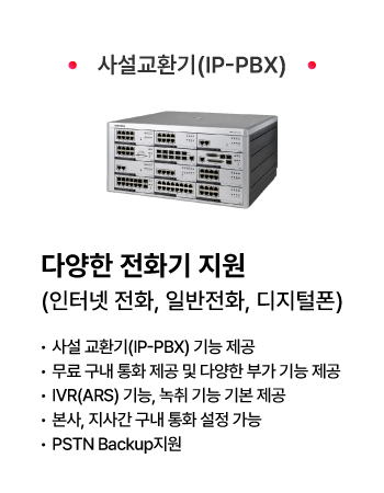 ±â¾÷ÀÎÅͳÝÀüÈ biz ¼ºñ½º »óǰ_»ç¼³ ±³È¯±â(IP_PBX) ±â¾÷ÀÎÅͳÝÀüÈ biz ¼ºñ½º »óǰ_»ç¼³±³È¯±â(IP_PBX)